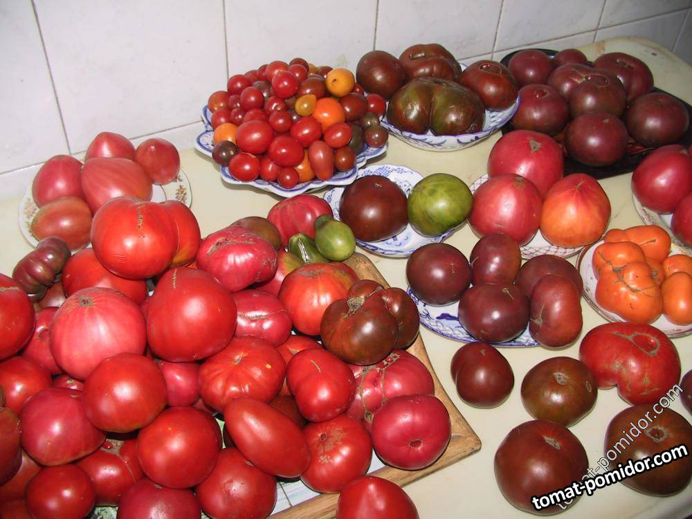 Урожай