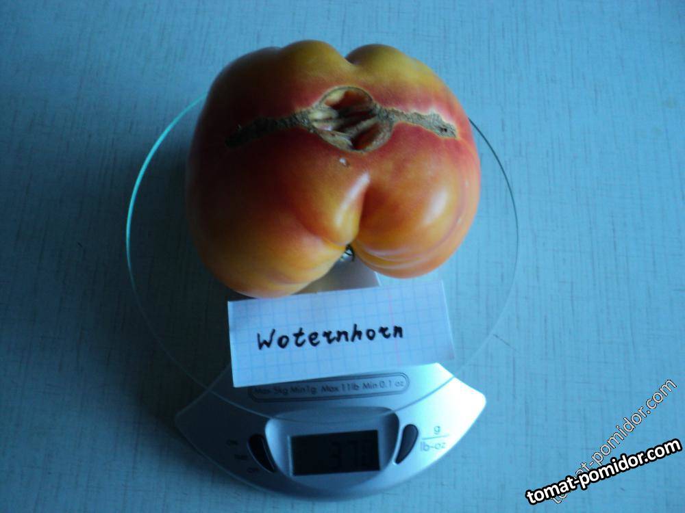 Woternhorn