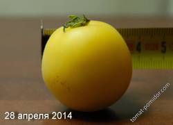 Желтый персик. 28 апреля