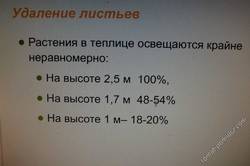 Информация по томатам