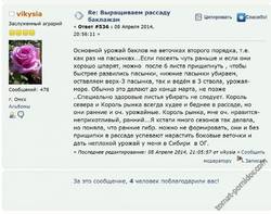 Формировка баклажан