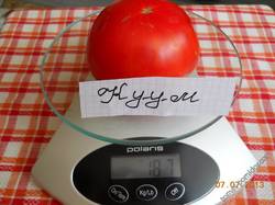 томаты 2013 год вес