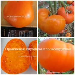 Оранжевая клубника плоскоокруглая.jpg