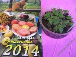 Январь 2014