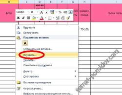 Эксель-добавляем фото2
