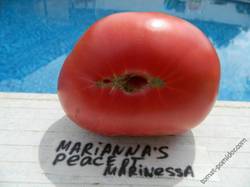 Mariannas Peace