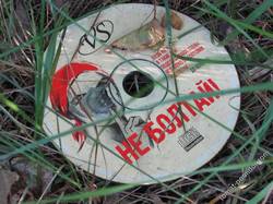 Нашла диск какой-то...на болоте
