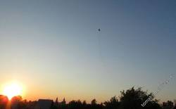 Самолетик летает над домом
