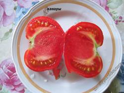 канары