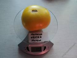 Мамина жёлтая (Нинуля)
