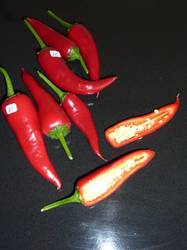 Edes Paprika