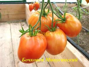 Бочковой Мин.7.JPG