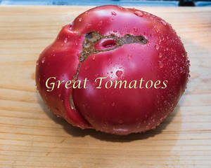 1592077662_GreatTomatos-0006.thumb.jpg.56d8845c567ff57219a5b15ba63c486d.jpg