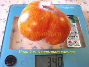 План 9 из Открытого космоса6 (5).JPG