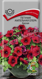 488493158_w0_h0_4fad80e5e75f0c__f5141b72f9.thumb.jpg.7a023235a84c00570124d29eb3690536.jpg