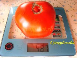 Супербомба3 (1).JPG