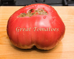 63626205_GreatTomatos-0007.thumb.jpg.5893d78db22842d5f4805c33451286c3.jpg