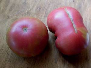 Copper River tomatoes on a scale