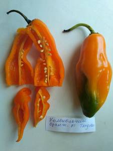 Амарилло Aji Amarillo   О52   фото 3.jpg