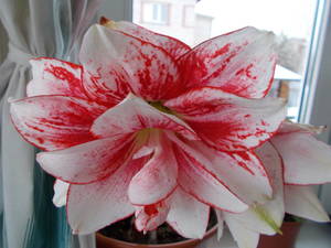 DSCN1378.JPG