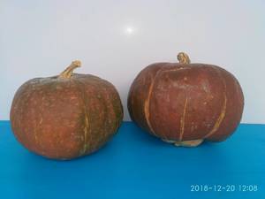 IMG_20181220_120817.jpg