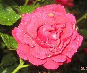 IMG_3023_1.JPG