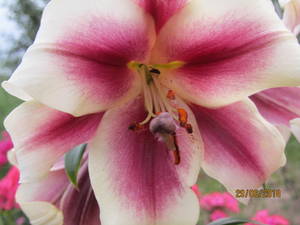 IMG_3997.JPG