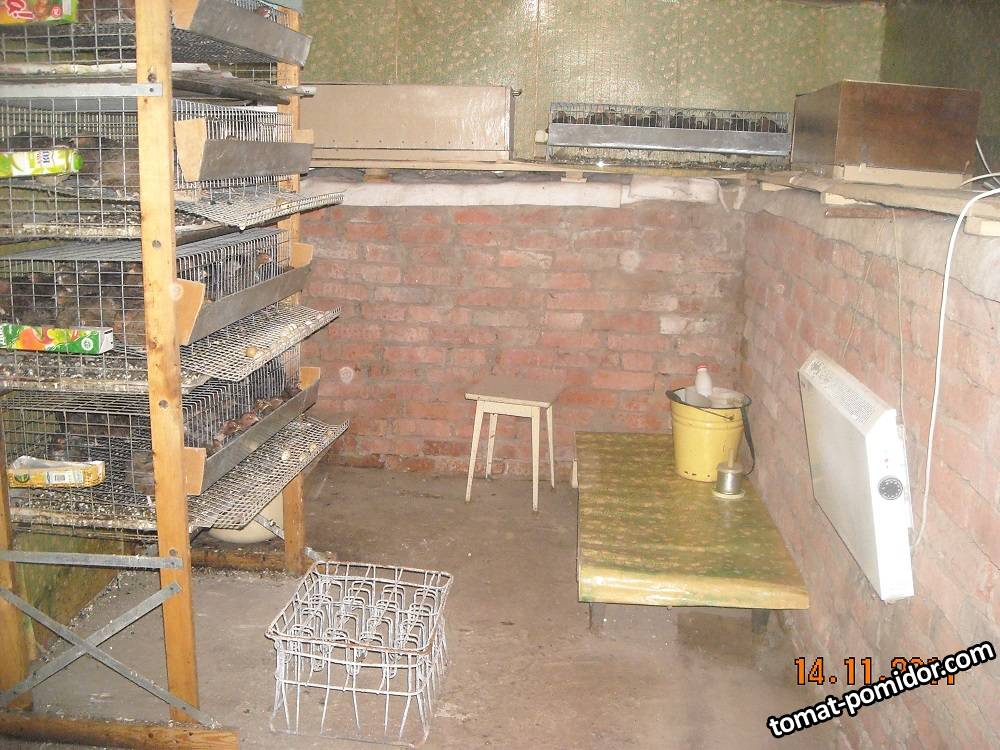 Ð�ÐµÑ�Ð²Ñ�Ð¹ Ð¿ÐµÑ�ÐµÐ¿ÐµÐ»Ñ�Ñ�Ð½Ð¸Ðº Ð² Ð¿Ð¾Ð´Ð²Ð°Ð»Ðµ