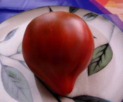 Linnaeus Heart (Сердце Линнея)