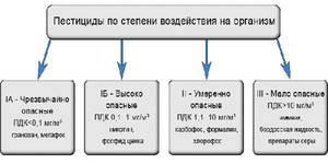 06-21-06-klassifikaciya-insekticidov-9.jpg