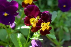 2017-07-05 13-23-36.JPG