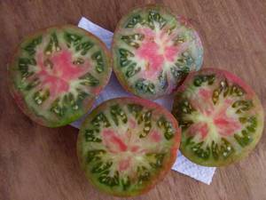 Green and red Bunte Pflaume tomatoes