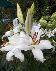 2018-08-06 18-40-07.JPG