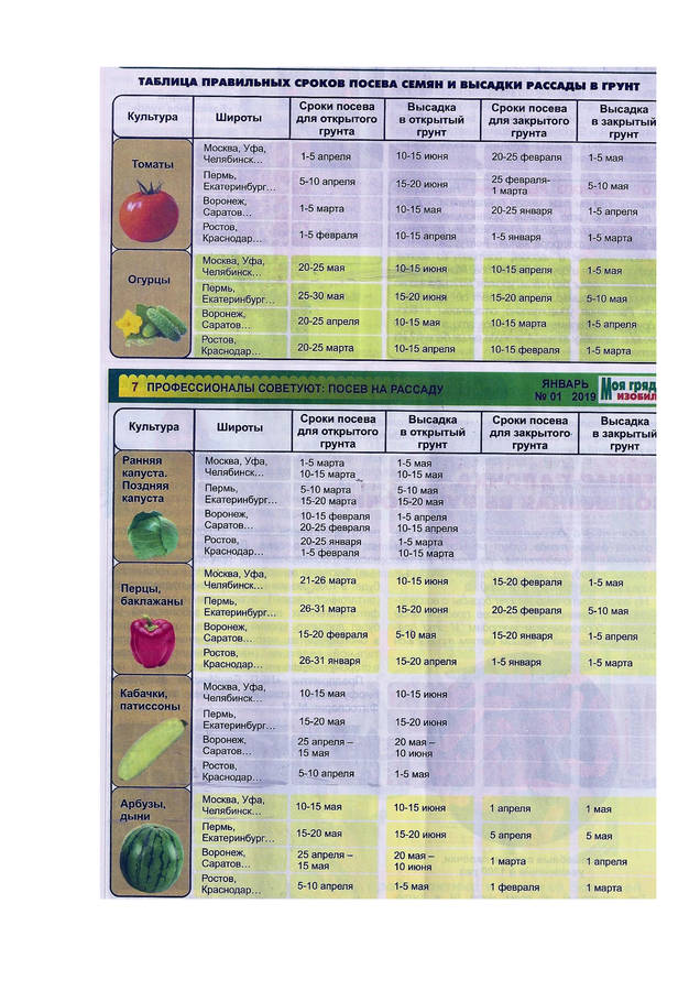 Сроки посадки в средней полосе россии