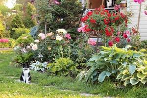 IMG_7424 (2).JPGмм.JPG