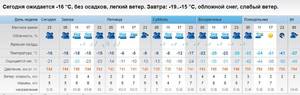 погода фев.jpg