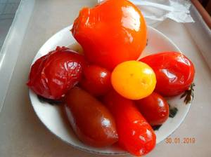 DSCN9427 - консервированные с маслом.JPG