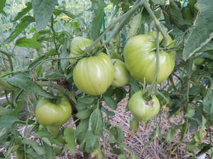 Сердце Ашхабада2.jpg