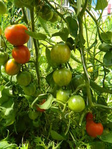 DSCN6236.JPG