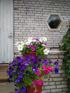 IMG_20180729_105814_BURST1.jpg