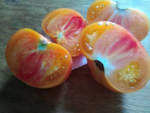 Cut Northern Lights tomato on a plate