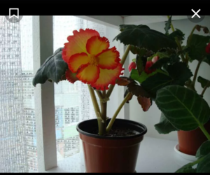 IMG_20190115_141856.png