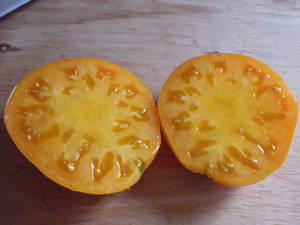 Altai Orange tomato halves