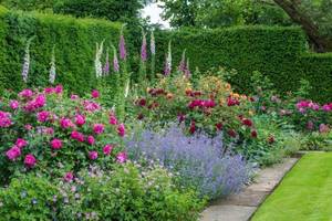 english-style-garden-3.jpg