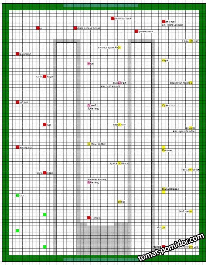 Бахчевые-2019