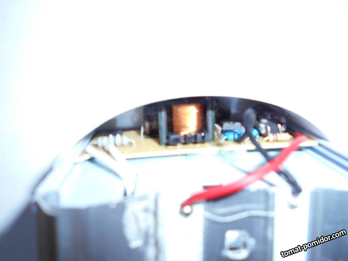 DSCN0800.JPG