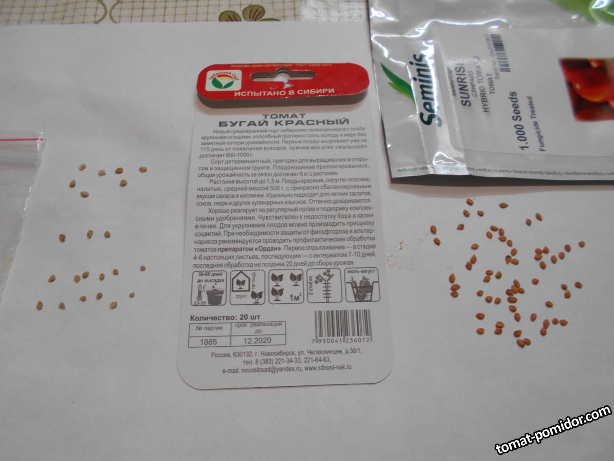 DSCN0825.JPG