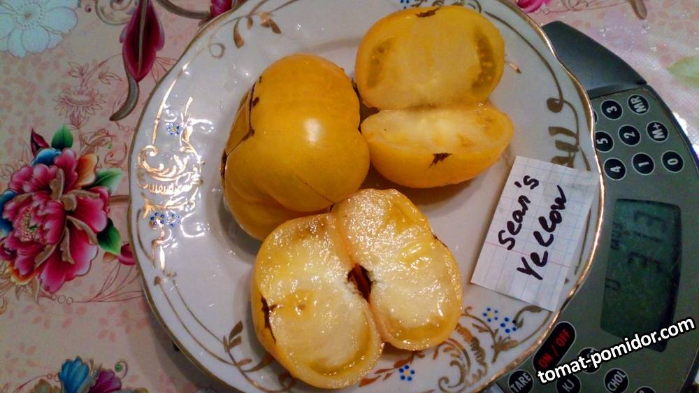Жёлтый карлик Шона, Sean's Yellow Dwarf