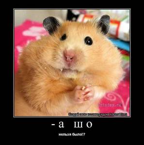 r5mKy4tZ6OY.thumb.jpg.75af50f4a16530b8fbca8bd9cc318bf7.jpg
