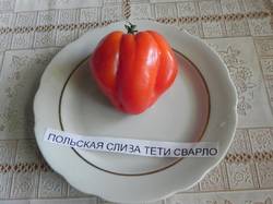 Польская слива т.Сварло DSCN6932.JPG